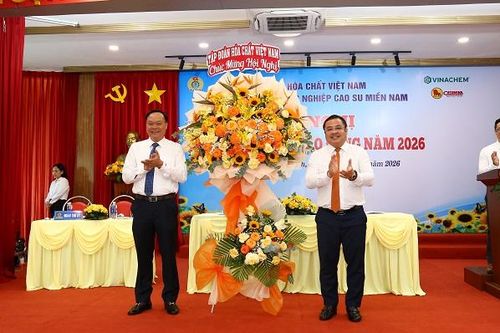 Casumina đặt mục tiêu lợi nhuận 120 tỷ đồng năm 2026
