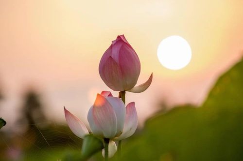 Thân miệng không tương ưng