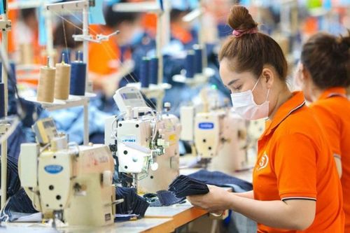 TCM đặt mục tiêu lãi kỷ lục năm 2026, doanh thu vượt 4.300 tỷ đồng