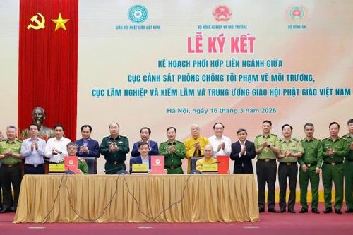 Xử lý nghiêm, ngăn chặn tình trạng xâm hại động vật hoang dã