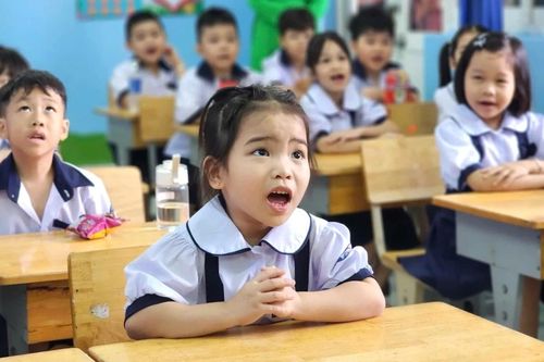 Nâng chất lượng giáo dục đồng đều để hạ nhiệt tuyển sinh đầu cấp