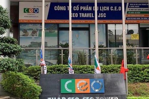 CEO Group (CEO): Đặt mục tiêu lợi nhuận năm 2026 tăng 50%, dự kiến trả cổ tức bằng cổ phiếu