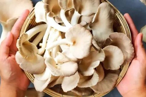 Đặc sản nhà nghèo bổ hơn thịt lợn và thịt bò, xưa mọc dại nay được ưa chuộng ở thành phố, tốt cho sức khỏe