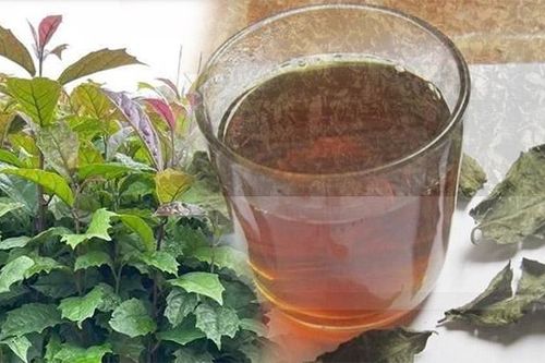 Uống nước xạ đen hàng ngày có tốt?