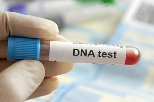 Đưa cháu nội đi xét nghiệm ADN vì lời dị nghị, bà sững sờ khi nhận kết quả