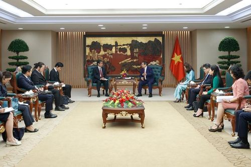 Thủ tướng tiếp Đại sứ Nhật Bản, Đại sứ UAE và Đại sứ Qatar về hợp tác năng lượng