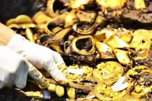 Kinh ngạc trước 10 tấn tiền xu Wuzhu trong lăng mộ cổ