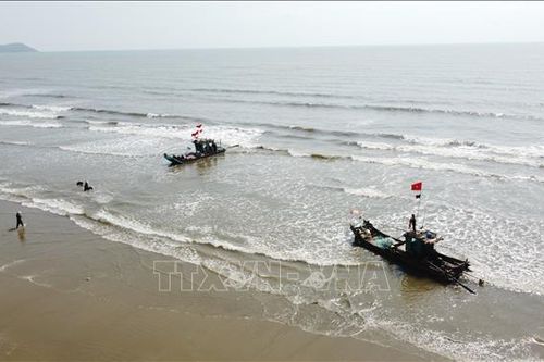 Xăng dầu tăng cao, ngư dân Thanh Hóa nỗ lực bám biển, duy trì sinh kế