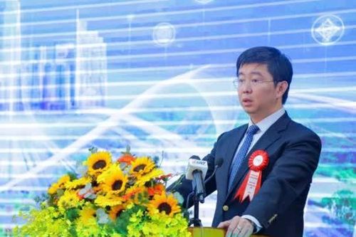 'Làm gia công phần mềm khó giúp Việt Nam thành cường quốc công nghệ'