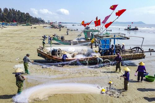 Giá nhiên liệu tăng, mùa cá trích giúp ngư dân ven biển giữ nhịp sinh kế