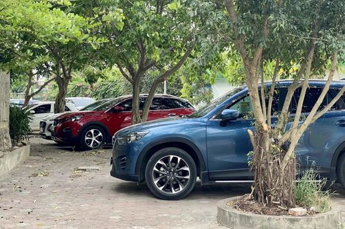 Triển khai thu phí không dừng tại bến xe, bãi đỗ xe trong đô thị đảm bảo theo đúng lộ trình