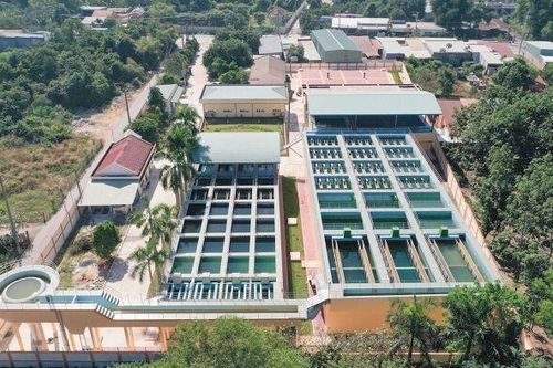 Có gì đáng chú ý trong báo cáo thường niên năm 2025 của BWE?