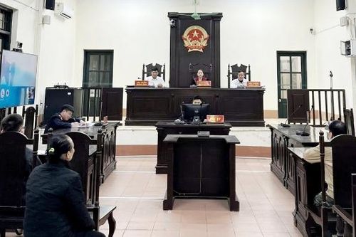 Ngăn chặn bạo lực gia đình, bảo vệ người yếu thế