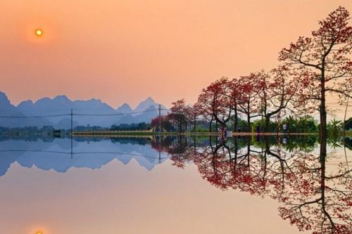 Hà Nội: Ngắm hàng hoa gạo cổ thụ rực đỏ bên dòng sông Đáy tại thôn Đoan Nữ