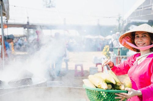 Phát triển du lịch từ nghề trồng bắp nếp Cẩm Nam
