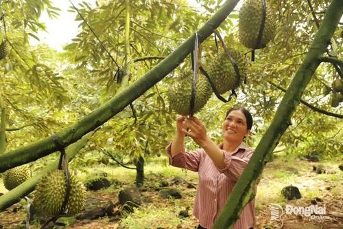 Ðể doanh nghiệp tham gia cuộc đua sản xuất xanh