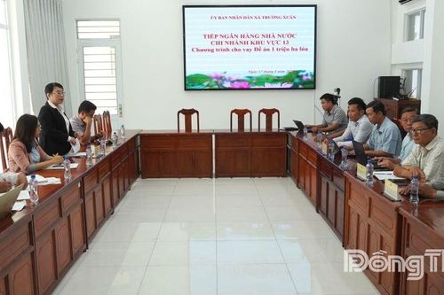 Đảm bảo nguồn vốn cho Chương trình cho vay Đề án 1 triệu ha lúa