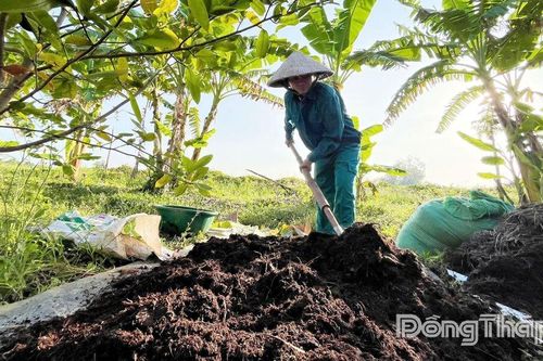 Thanh niên khởi nghiệp với nông nghiệp tuần hoàn