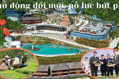 Chủ động đổi mới, nỗ lực bứt phá