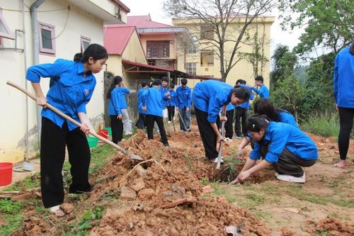 Gieo mầm xanh cho tương lai