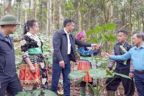 Đòn bẩy trong xây dựng nông thôn mới ở Hưng Khánh