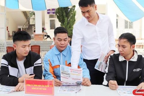 Chiềng Hoa tìm việc làm cho lao động