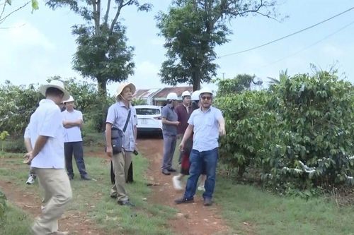 Gia Lai phát triển mô hình du lịch 'Café Farm', đón đầu Năm Du lịch Quốc gia 2026