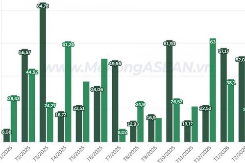 Phân bón Cà Mau hoàn thành 40% kế hoạch xuất khẩu ure năm 2026