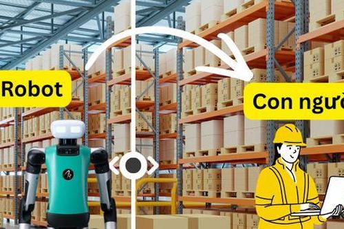 Robot đã bắt đầu đi làm: Ai sẽ là người mất việc đầu tiên?