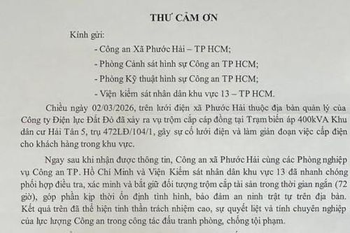 TPHCM: Khám phá nhanh vụ giả danh nhân viên điện lực trộm cắp dây cáp điện