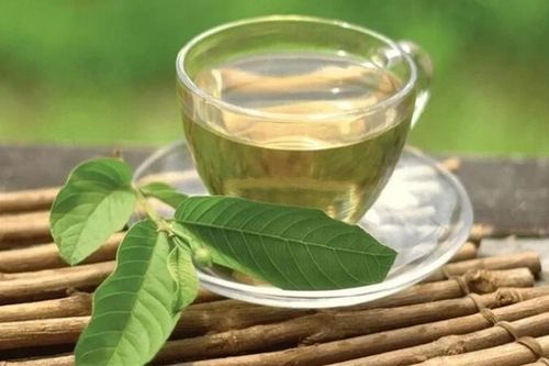 Đừng coi thường nắm lá ổi quanh nhà: 'Thần dược' hạ đường huyết, bảo vệ gan