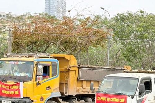 Phường Đại Mỗ cưỡng chế công trình vi phạm trên 4,3ha đất nông nghiệp trên địa bàn