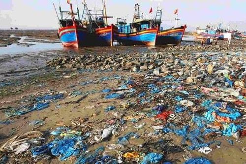 Ba giải pháp kiểm soát ô nhiễm nhựa gắn với bảo tồn đa dạng sinh học
