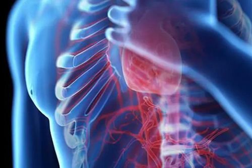 Người đàn ông 35 tuổi suy tim cấp từ dấu hiệu nhiều người Việt mắc phải