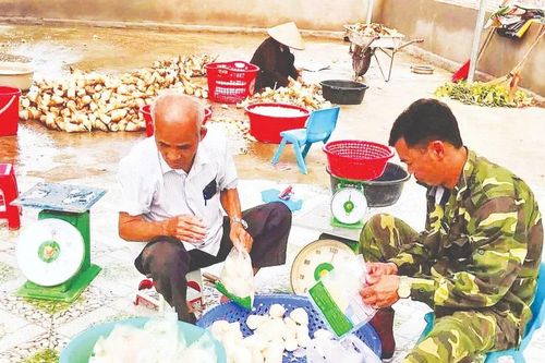 Nâng cao vai trò dẫn dắt, kết nối của hợp tác xã nông nghiệp