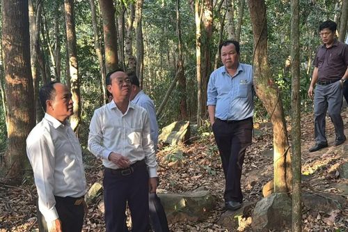UBND TPHCM kiểm tra công tác quản lý, bảo vệ rừng tại Vườn quốc gia Côn Đảo