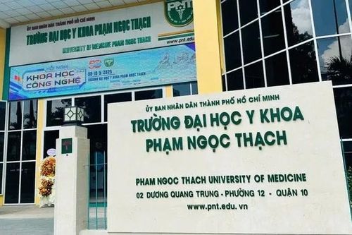 TPHCM chuẩn bị sắp xếp các cơ sở giáo dục công lập