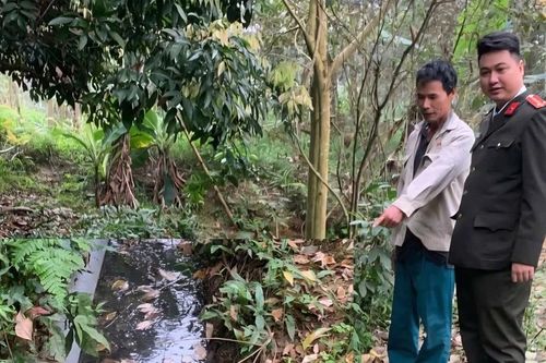 Chủ một cơ sở chăn nuôi bị phạt 107 triệu vì thải gây ô nhiễm môi trường