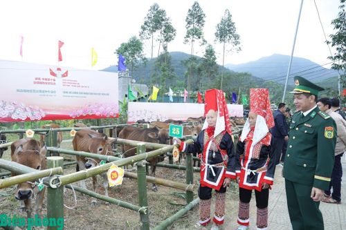 Vì cuộc sống ấm no, hạnh phúc của nhân dân vùng biên
