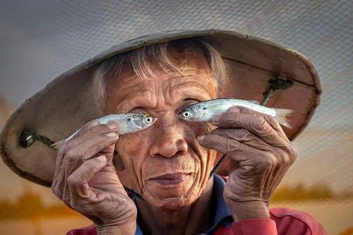 Ngư dân Hội An và hai con cá đánh bại 14.500 đối thủ quốc tế