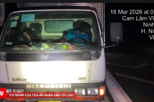 Dừng, đỗ xe sai quy định trên cao tốc có thể bị phạt đến 14 triệu đồng, trừ 6 điểm GPLX
