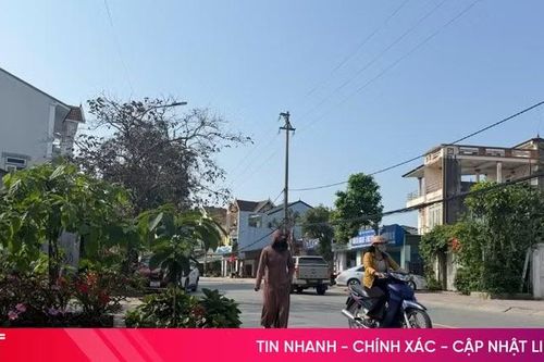 Người đi bộ… 'mất' lối đi vì cây cảnh