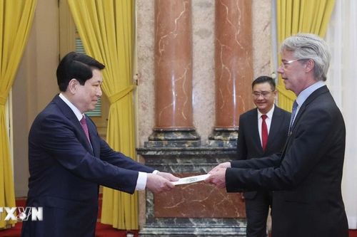 Chủ tịch nước Lương Cường tiếp các đại sứ trình Quốc thư