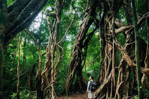 Tour du lịch mạo hiểm cần đảm bảo tuân thủ những tiêu chuẩn quốc gia nào?