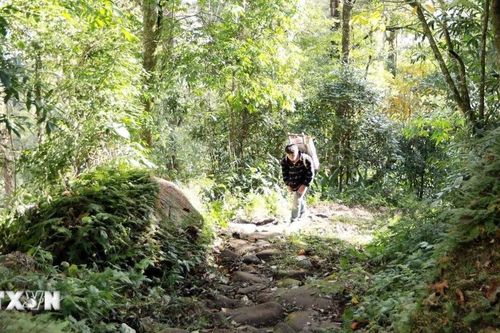 Lai Châu: Khai thác tiềm năng du lịch từ con đường đá cổ Pavie đầu thế kỷ XX
