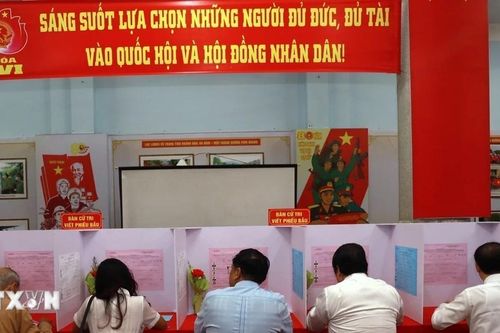 Khánh Hòa bầu đủ số lượng đại biểu Quốc hội và Hội đồng Nhân dân tỉnh