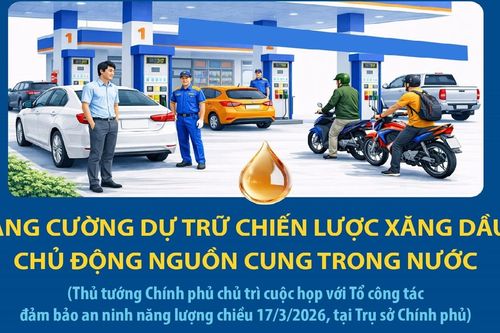 Thủ tướng Chính phủ Phạm Minh Chính: Tăng cường dự trữ chiến lược xăng dầu, chủ động nguồn cung trong nước