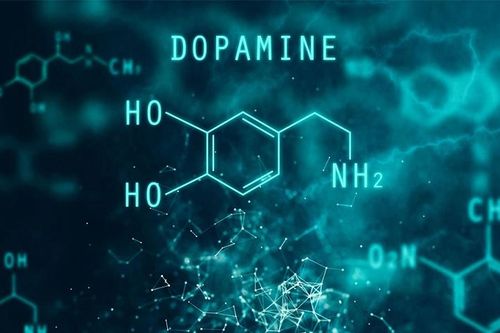 Định hình lại vai trò 'hóa chất hạnh phúc' của Dopamine
