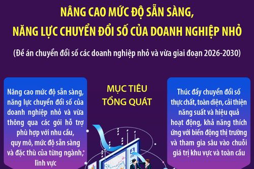 Nâng cao mức độ sẵn sàng, năng lực chuyển đổi số của doanh nghiệp nhỏ