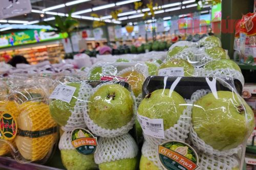 Mã số mã vạch - Giám sát hàng hóa lưu thông